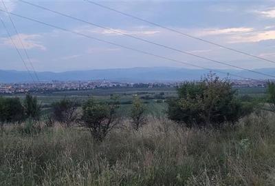 Teren agricol extravilan de 4000 mp, în Gușterița - 2