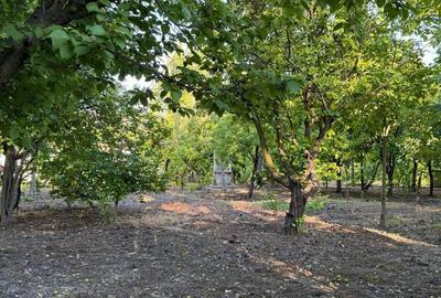 Casă cu 6 camere nedecomandat cu Teren 1600 Mp în Greci - 3