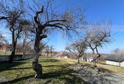 Casă individuală cu 3 camere cu Canalizare în Central - 2