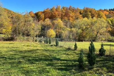 Teren de vanzare Cuiejdel 1350 mp Teren de vanzare Cuiejdel 1350 mp - 14