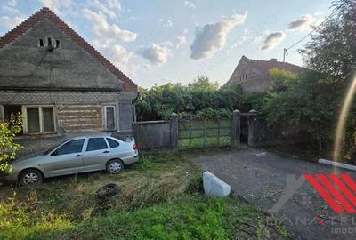 Topolova?u Mare Casa si Teren 1683 mp - 48.500 euro