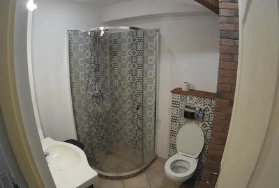 Apartament cu 2 camere semidecomandat în Centrul Istoric - 4