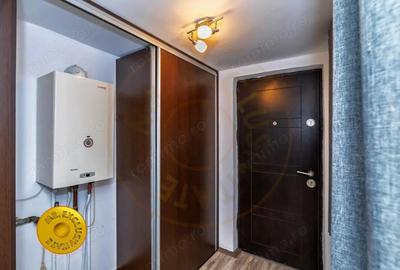 Doua case in aceeasi curte Pitesti, Strada Turcesti - 3