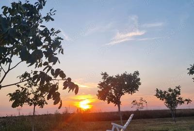 Teren de 10000 mp, în Livada - 3
