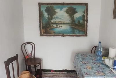 Casă cu 3 camere cu Teren 2500 Mp în Vutcani - 1
