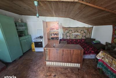 Casă cu 4 camere cu Teren 2880 Mp în Giulvăz - 13
