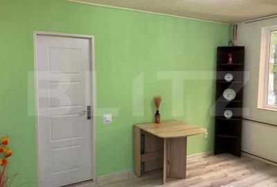 Apartament cu 2 camere semidecomandat, mobilat în Rogerius - 12