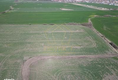 Teren de 14000 mp, în Sânandrei