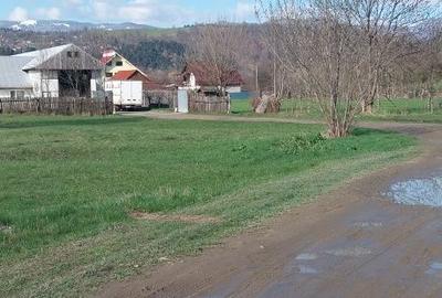 Spațiu comercial, în Vermești - 4