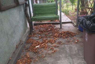 CASA SECTOR 1 - BUCURESTII NOI - 6