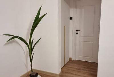 Apartament cu 2 camere semidecomandat în Domenii - 8