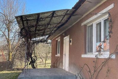 Casă cu Teren 1600 Mp în Dăbâca