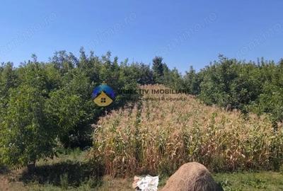 Teren de vanzare 1935 mp Piatra Neam? - Str. Plantelor - 3