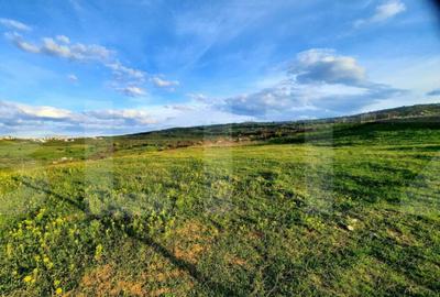 Teren cu suprafata de 800 mp, PUZ in lucru, zona de case, Bo - 1