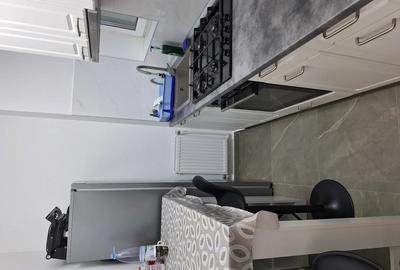 Apartament 2 camere de vanzare Complex Novopolis - 4