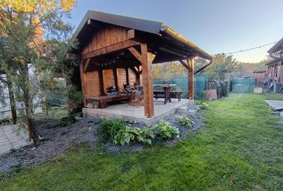 Casa cu 3 camere,baie, bucatarie,anexe.pivnita teren 800 mp Casa cu 3 camere,baie, bucatarie,anexe.pivnita teren 800 mp - 2