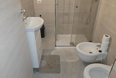 Vand apartament cu 2 camere in Deva, zona Gojdu (Motilor) et. 3, amenajat modern - 5