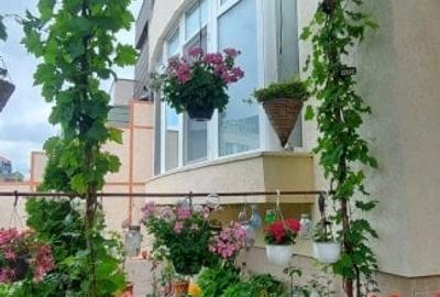 Exclusivitate!Vila si casa alaturate-580.000 euro si 280.000 euro (E2) - 8