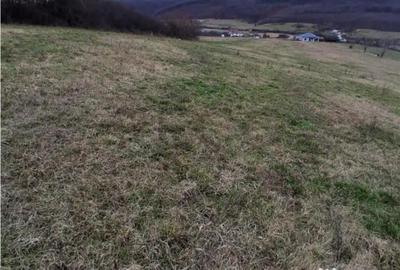 Teren în Betfia - 2