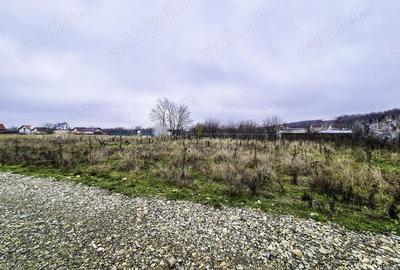 Teren intravilan Smeura Arges - 2