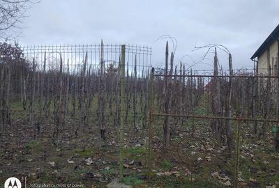 20.500 E Tautii Magherausi 5 ari jumate loc perfect de casa,toate utilitatile - 1