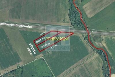 Teren intravilan 2,4 Ha - zona Tractorul (Rulmentul) - 1