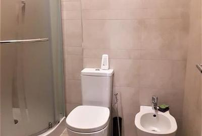 LANGA PTA DOROBANTI, VILA 1998, 650 MP,  GARAJ DUBLU! - 10