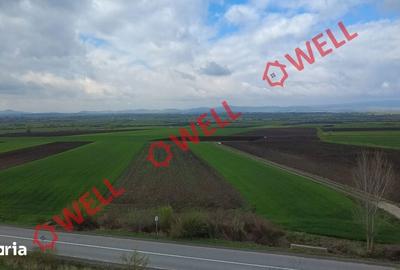 Teren de 5000 mp, în Ozun - 5