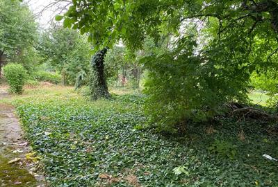 Proprietar, vand casa in Cenei, central - 2