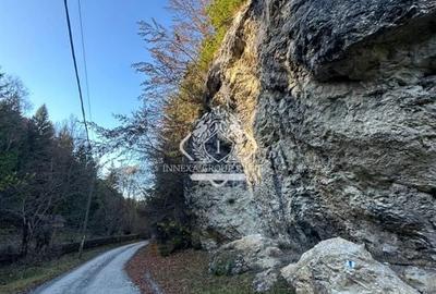 Teren 2.882 mp – oportunitate investitie - Cheile Dâmbovicioarei - 1