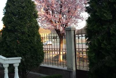 Casa solida, spa?ioasa ?i versatila in zona centrala, Sannicolau Mare - 2