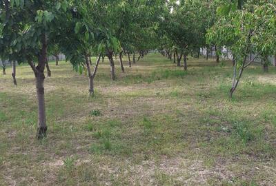 Casă cu 3 camere în Cotești - 1