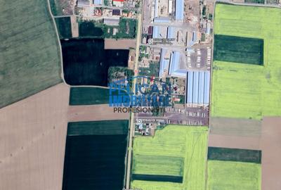 Teren Construcții intravilan de 4000 mp, în Mihail Kogălniceanu - 13