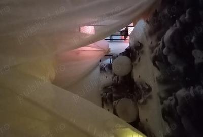 Garsonieră decomandată în Central - 2