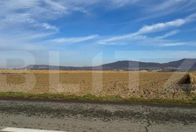 Vand 53 de ari de teren intravilan in Arcalia - 12