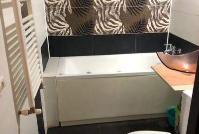 Garsoniera zona torontalului - 2