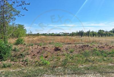 Teren de vanzare – 1500 mp, Brosteni, jud. Arges - 2