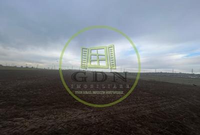 Teren Construcții intravilan de 10000 mp, în Șimnicu de Sus - 2