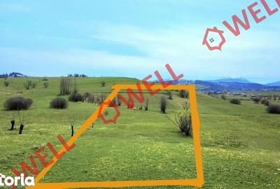 Teren de 6519 mp, în Barcani - 7