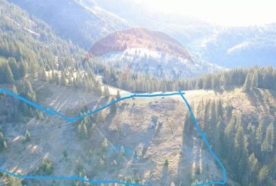 Teren 31,461mp Panaci / Prelungirea Ialovita - 7