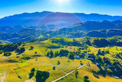 COMISION 0% Teren 19.300 mp/?irnea/ Oportunitate de inve... COMISION 0% Teren 19.300 mp/?irnea/ Oportunitate de inve... - 17