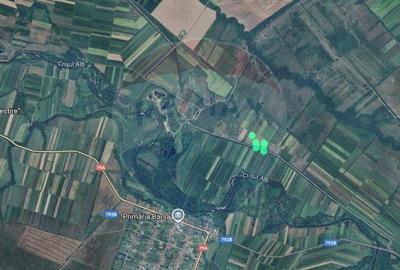 Teren extravilan 25.936 mp intre Barsa si Sebis - 2
