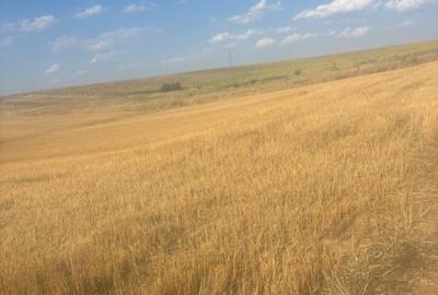 Teren Construcții intravilan de 500 mp, în Malu Mare - 4