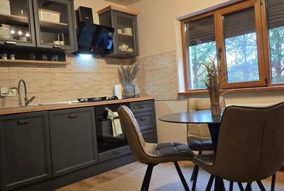 Vand duplex in Dumbravita langa Parcul Terra - 5