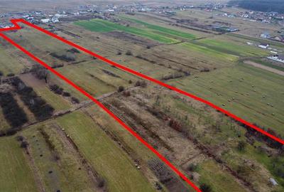 Teren Construcții intravilan de 21700 mp, în Solovăstru - 2