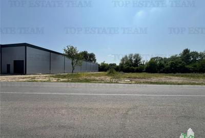 Spațiu comercial, de 435 mp, în Ulmi - 18