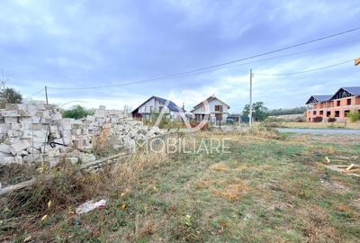 Teren Construcții intravilan de 3695 mp, în Runcu - 4