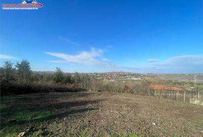 Teren de zona Bididia Tulcea - 5