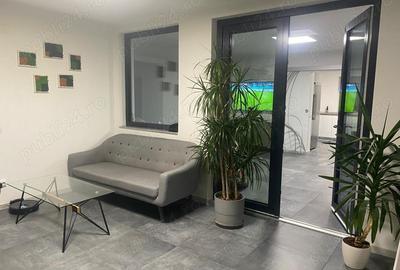 Agentia imobiliara VIGAFON vinde casa 3 camere Strejnicu - 19