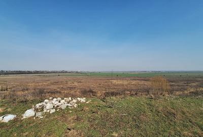 Teren în Bălăceanca - 2
